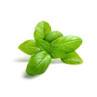 Basilico