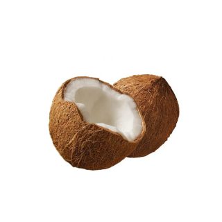 Cocco