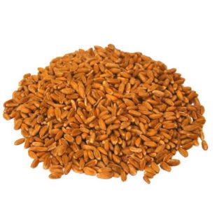 Farro