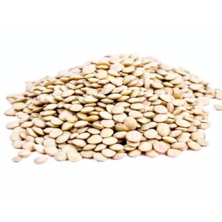 Lenticchie