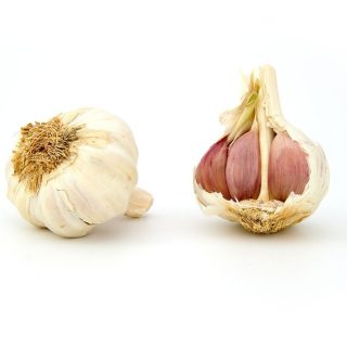 Aglio