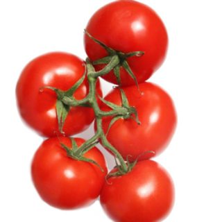 Pomodoro
