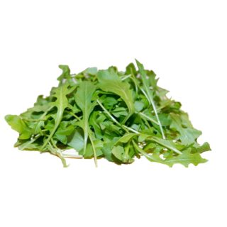 Rucola