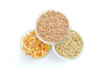 Cereali e Semi