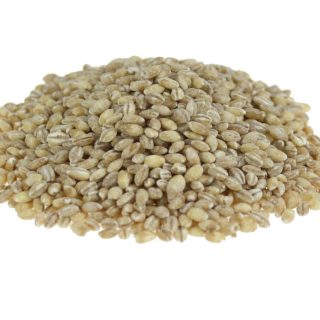 Orzo