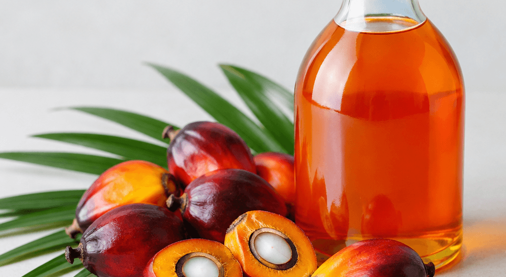 Olio di palma