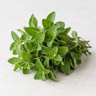 origano