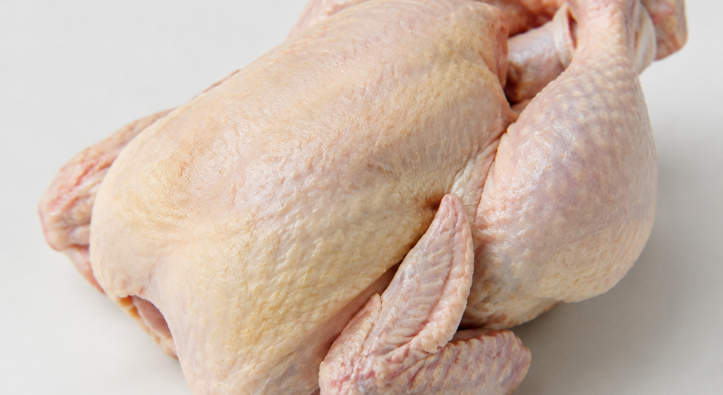 pollo