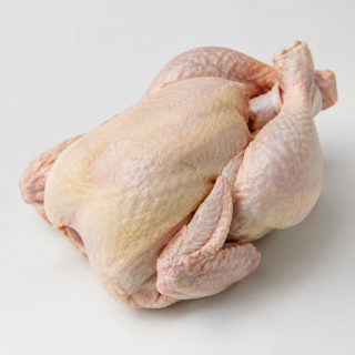 pollo